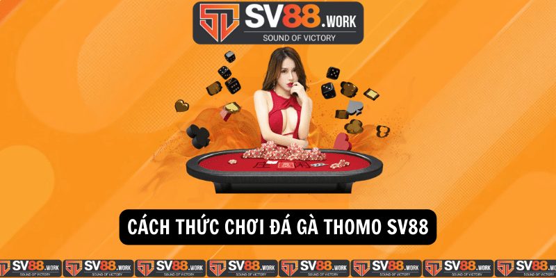 Cách thức chơi đá gà Thomo SV88