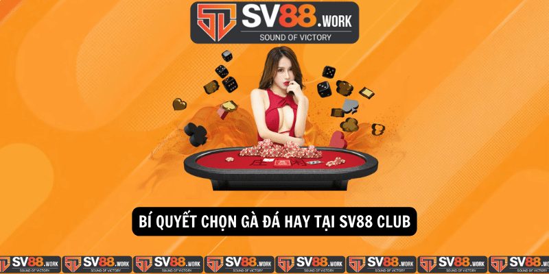 Bí Quyết Chọn Gà Đá Hay tại SV88 Club